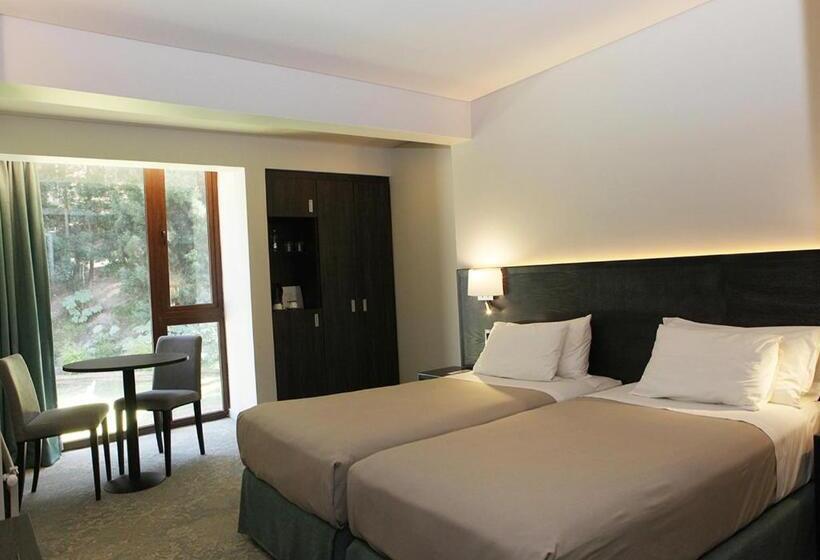 חדר סופריור, Bosque De Reñaca