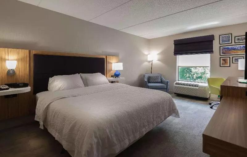 キングサイズベッドのスタンダードルーム, Hampton Inn Doylestown