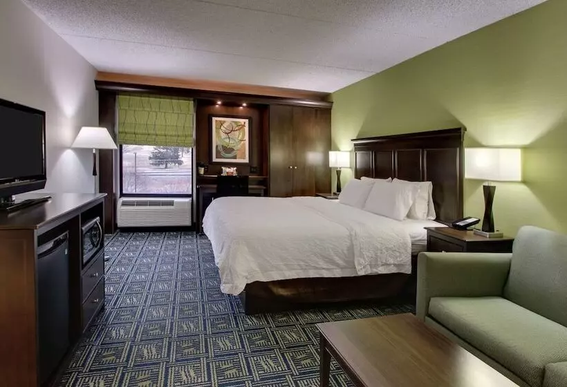 キングサイドベッドのスタンダードワンルーム, Hampton Inn Dubois