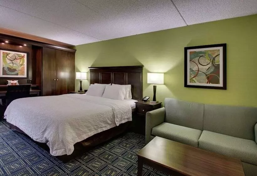 キングサイドベッドのスタンダードワンルーム, Hampton Inn Dubois