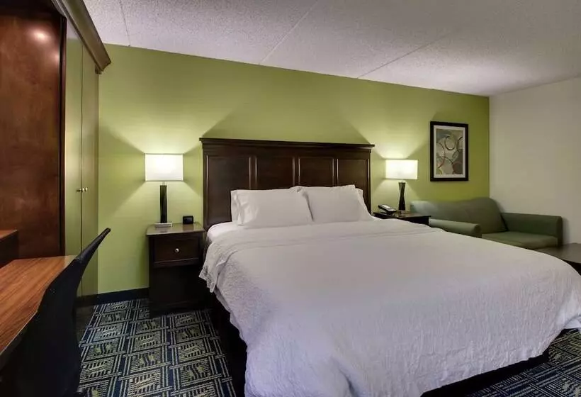 キングサイドベッドのスタンダードワンルーム, Hampton Inn Dubois