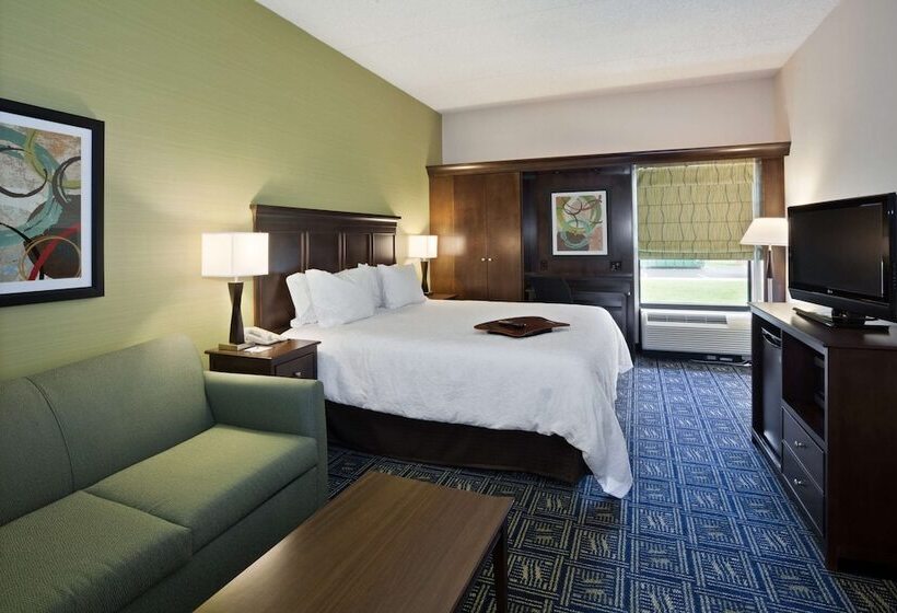 Студио Стандарт Кровать Кинг, Hampton Inn Dubois