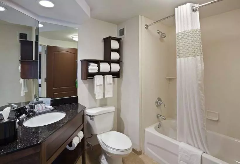 ２ダブルベッドのスタンダードルーム, Hampton Inn Dubois