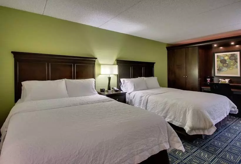 ２ダブルベッドのスタンダードルーム, Hampton Inn Dubois