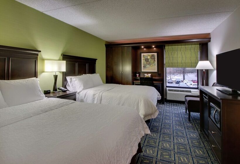２ダブルベッドのスタンダードルーム, Hampton Inn Dubois
