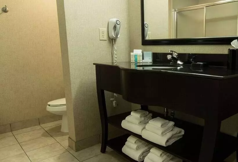 スタンダードスタジオ, Hampton Inn Spring Lake Fayetteville