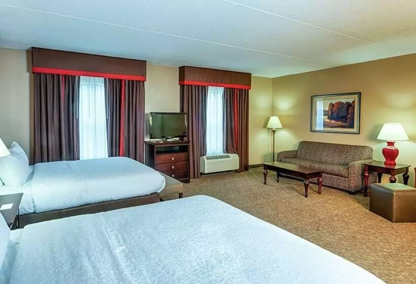 スタンダードスタジオ, Hampton Inn Spring Lake Fayetteville