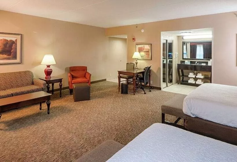 スタンダードスタジオ, Hampton Inn Spring Lake Fayetteville