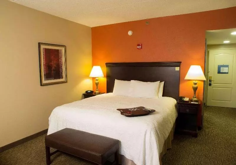 キングサイズベッドのデラックスルーム, Hampton Inn Spring Lake Fayetteville