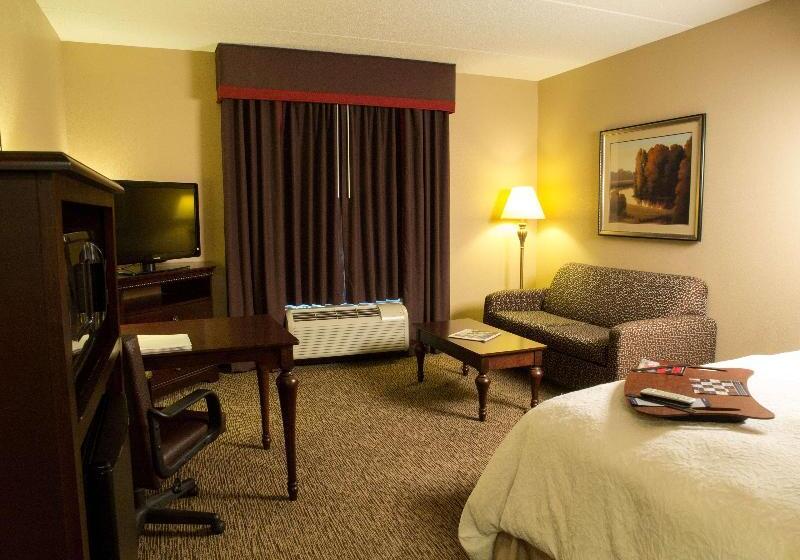 اتاق لوکس با تخت بزرگ, Hampton Inn Spring Lake Fayetteville