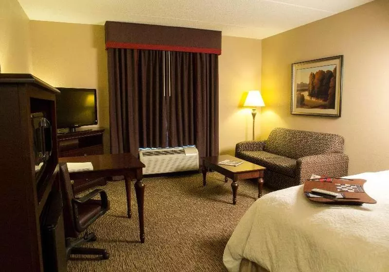 キングサイズベッドのデラックスルーム, Hampton Inn Spring Lake Fayetteville