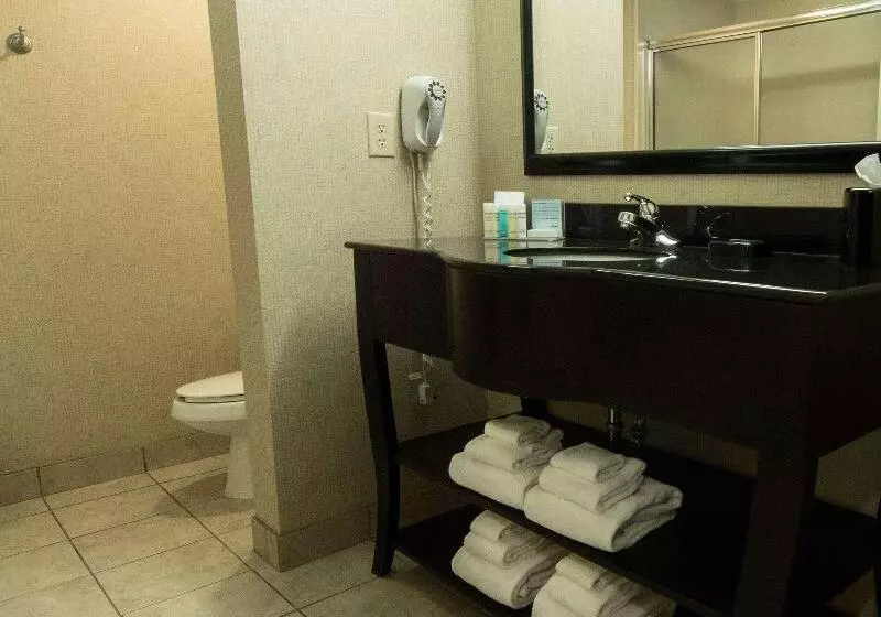 キングサイズベッドのデラックスルーム, Hampton Inn Spring Lake Fayetteville