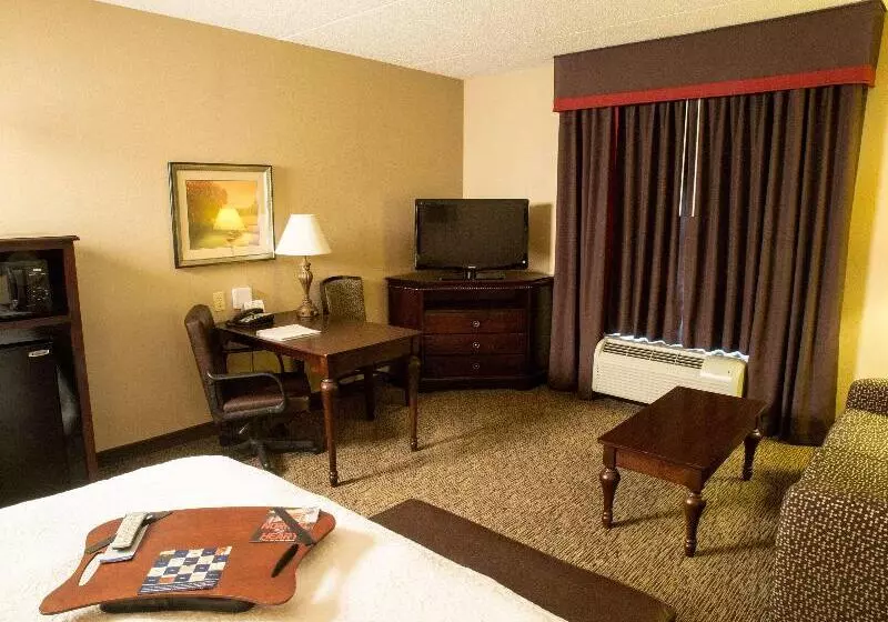 キングサイズベッドのデラックスルーム, Hampton Inn Spring Lake Fayetteville