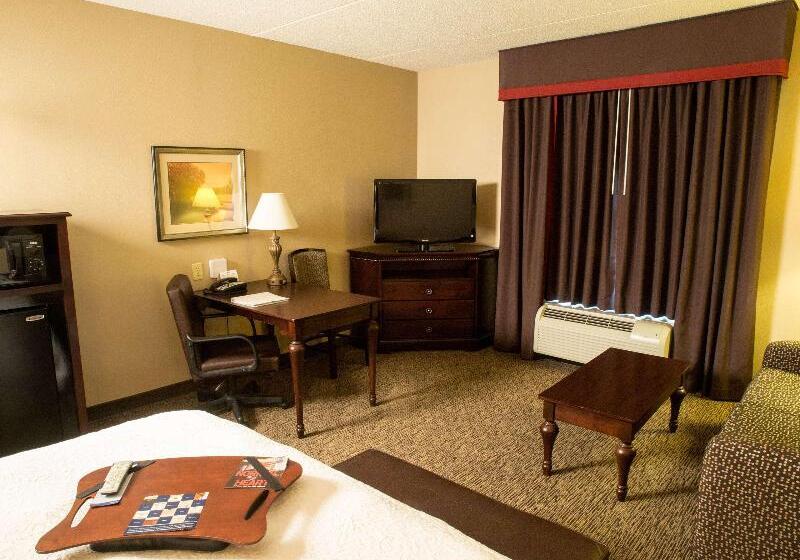 غرفة ديلوكس سرير كينج, Hampton Inn Spring Lake Fayetteville