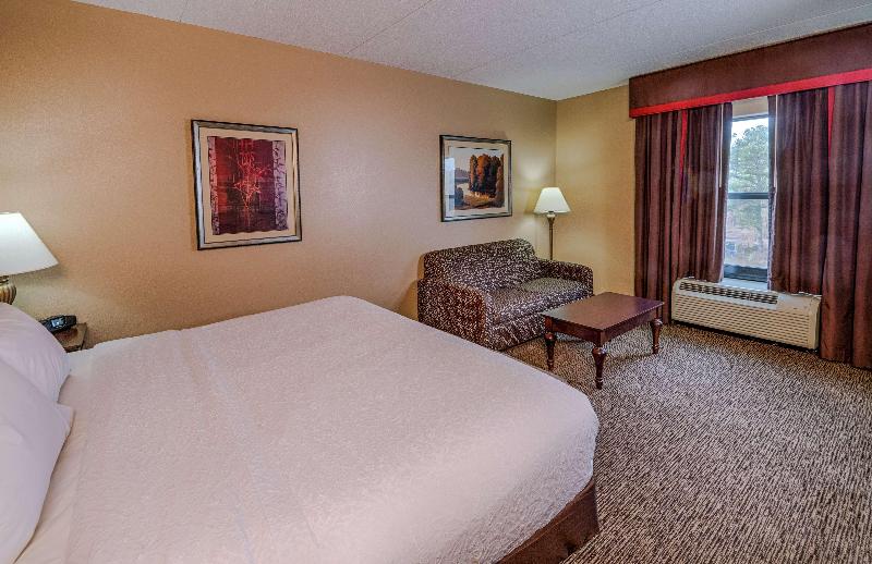 اتاق استاندارد با تخت بزرگ, Hampton Inn Spring Lake Fayetteville