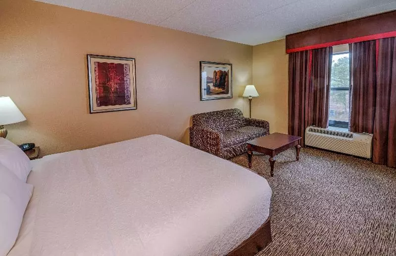 キングサイズベッドのスタンダードルーム, Hampton Inn Spring Lake Fayetteville