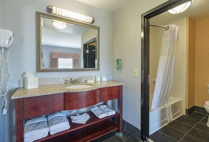 Студия Стандарт, Hampton Inn & Suites Indianapolis/brownsburg