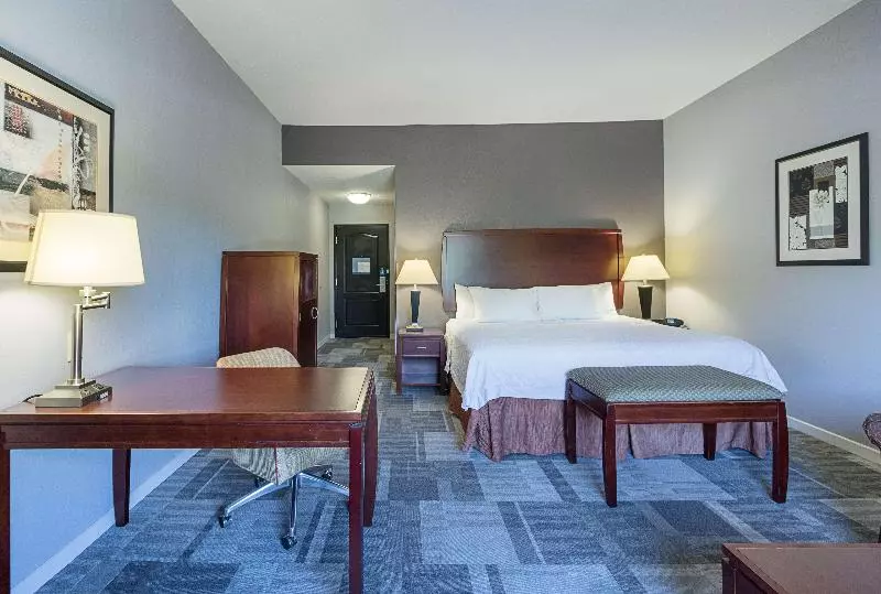 キングサイズベッドのスタンダードルーム, Hampton Inn & Suites Indianapolis/brownsburg