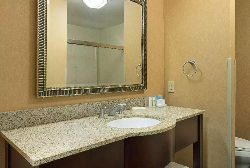 キングサイズベッドのスタンダードルーム, Hampton Inn & Suites Indianapolis/brownsburg