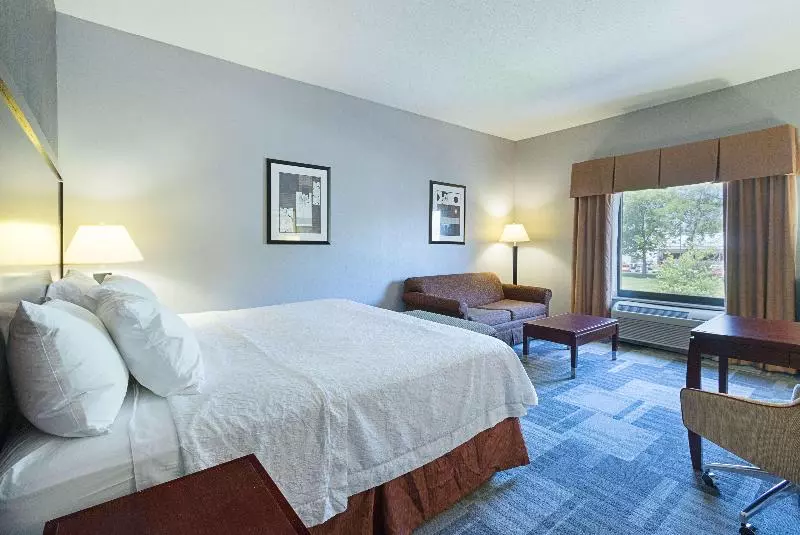 キングサイズベッドのスタンダードルーム, Hampton Inn & Suites Indianapolis/brownsburg
