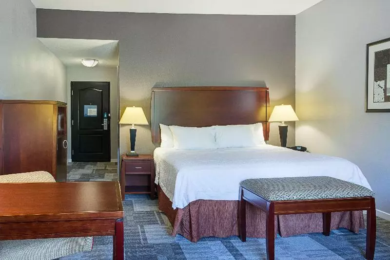 キングサイズベッドのスタンダードルーム, Hampton Inn & Suites Indianapolis/brownsburg