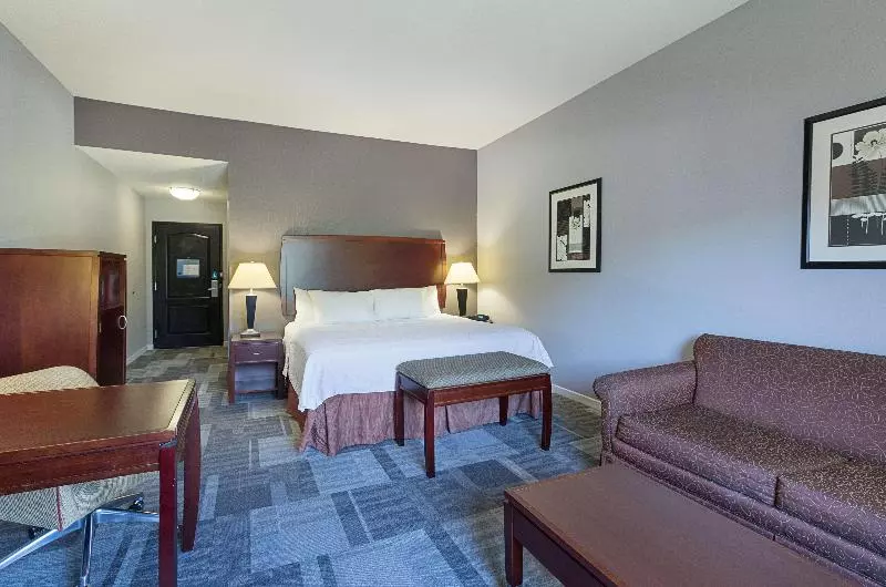 キングサイズベッドのスタンダードルーム, Hampton Inn & Suites Indianapolis/brownsburg