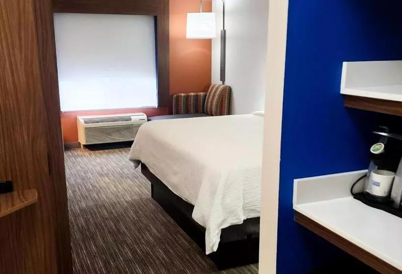 キングサイズベッドのスタンダードルーム, Holiday Inn Express Hotel & Suites Chicago South Lansing, An Ihg