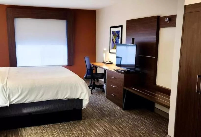 キングサイズベッドのスタンダードルーム, Holiday Inn Express Hotel & Suites Chicago South Lansing, An Ihg