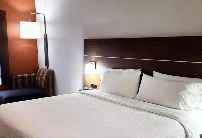 キングサイズベッドのスタンダードルーム, Holiday Inn Express Hotel & Suites Chicago South Lansing, An Ihg