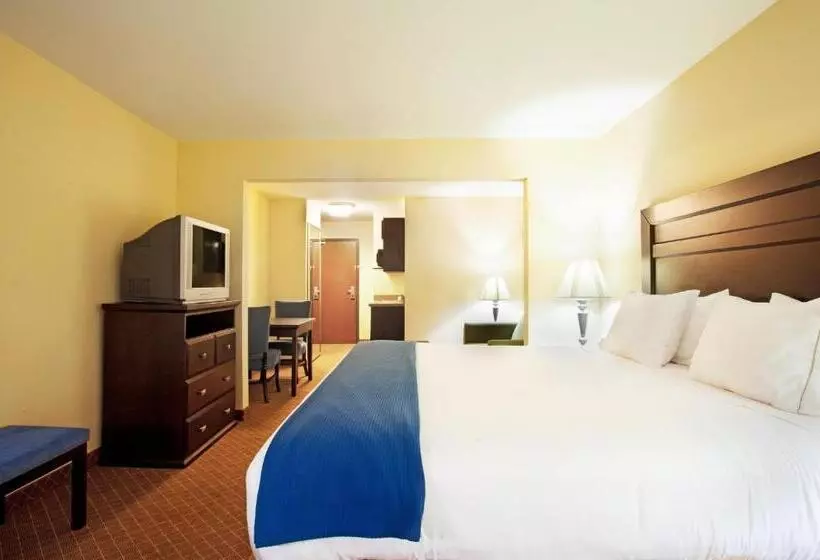 キングサイズベッドのスタンダードルーム, Holiday Inn Express Hotel & Suites Chicago South Lansing, An Ihg