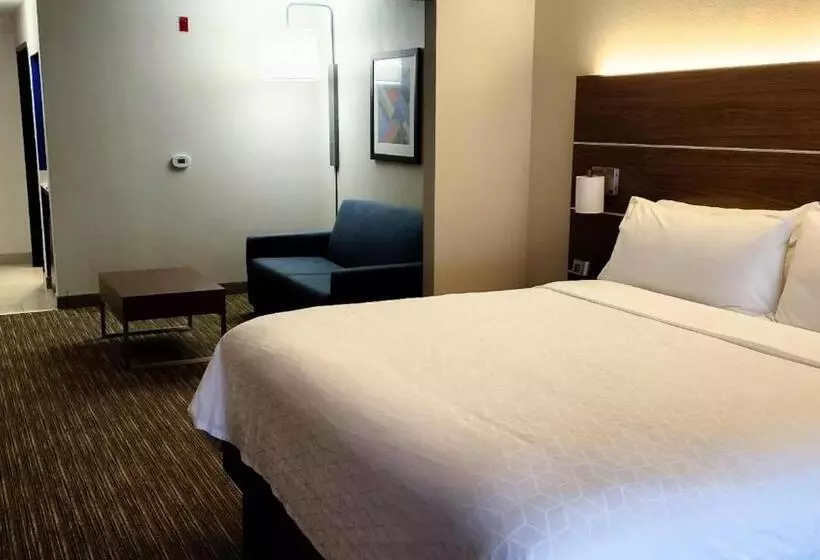 キングサイズベッドのスイートルーム, Holiday Inn Express Hotel & Suites Chicago South Lansing, An Ihg