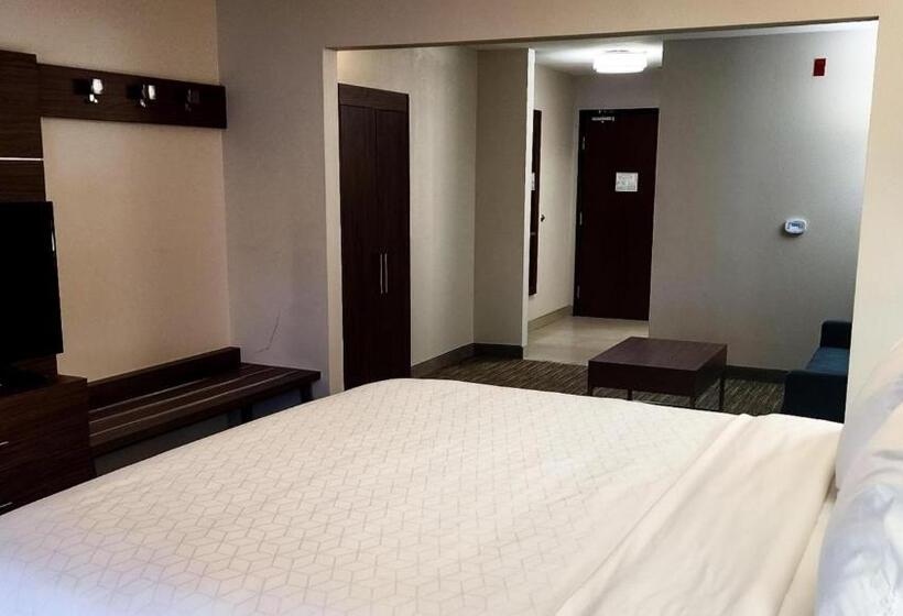 מיטת קינג בסוויטה, Holiday Inn Express Hotel & Suites Chicago South Lansing, An Ihg