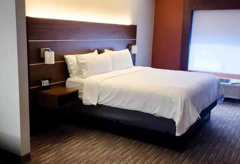 キングサイズベッドのスイートルーム, Holiday Inn Express Hotel & Suites Chicago South Lansing, An Ihg
