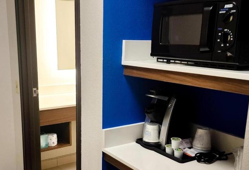 Люкс Кровать Кинг, Holiday Inn Express Hotel & Suites Chicago South Lansing, An Ihg