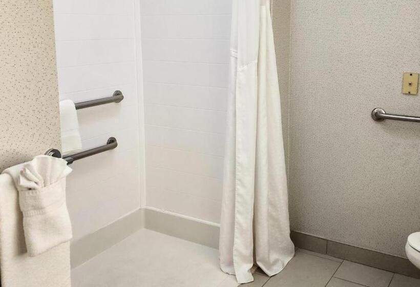 חדר סטנדרט, מיטת קינג, מותאם לאדם עם מוגבלויות, Holiday Inn Express Hotel & Suites Chicago South Lansing, An Ihg