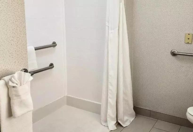 身障者適用キングサイズベッドルーム, Holiday Inn Express Hotel & Suites Chicago South Lansing, An Ihg