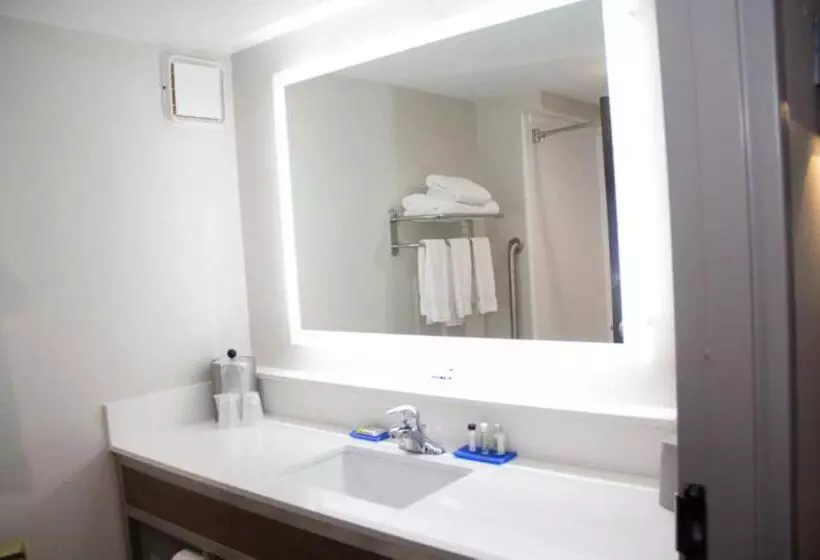 スタンダードルーム, Holiday Inn Express Hotel And Suites Kings Mountain By Ihg