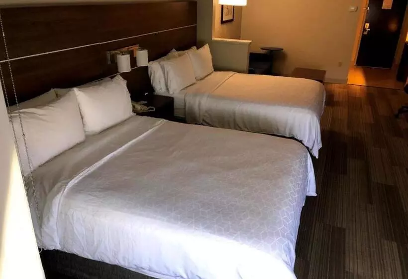 スイート, Holiday Inn Express Hotel And Suites Kings Mountain By Ihg