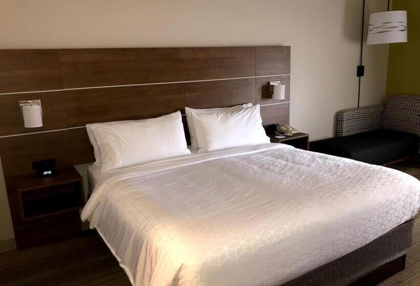 Номер Стандарт, Holiday Inn Express Hotel And Suites Kings Mountain By Ihg