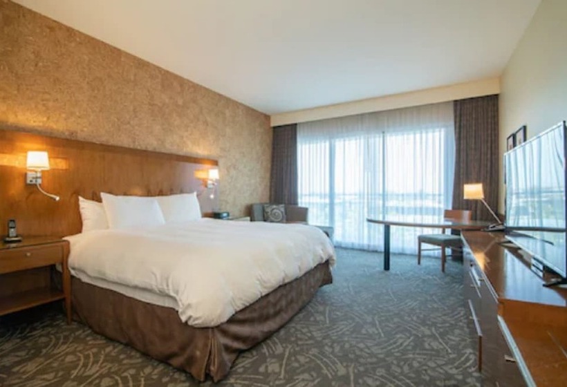 Люкс, Miyako Hybrid Hotel Torrance