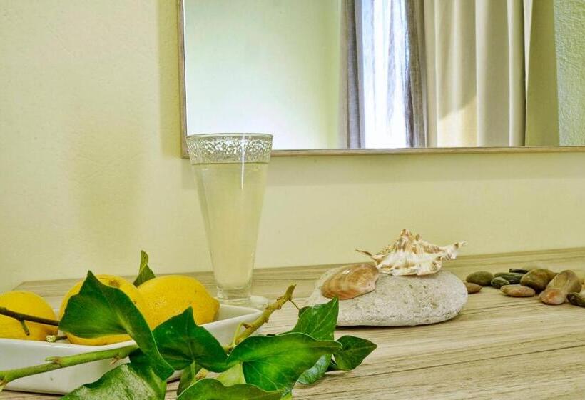 Номер Basic, Orpheus