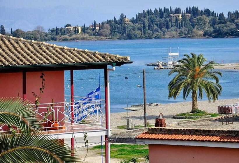 Номер Basic, Orpheus