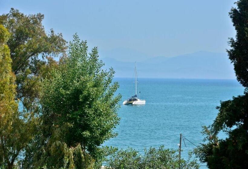 Апартаменты 1 Спальня с Видом, Orpheus