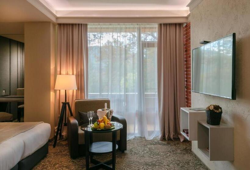 غرفة ديلوكس مزودة بشرفة, Spa Hotel Calista