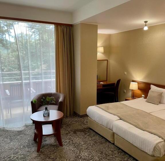 اتاق استاندارد با بالکن, Spa Hotel Calista