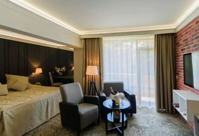 اتاق استاندارد با تخت بزرگ, Spa Hotel Calista