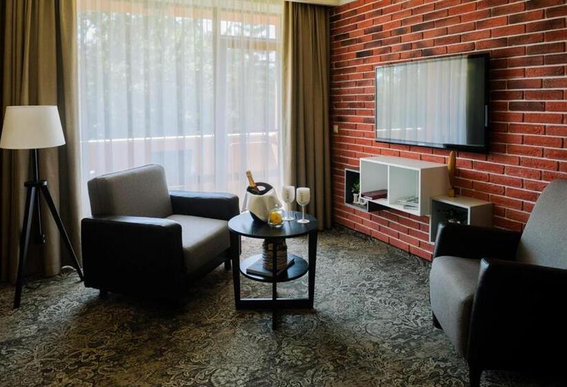 غرفة قياسية سرير كينج, Spa Hotel Calista