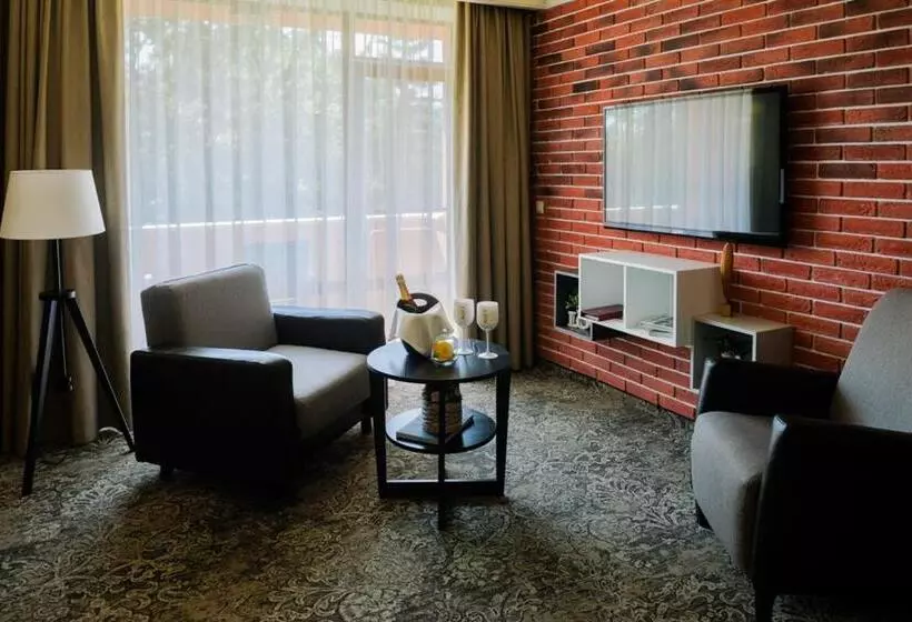 اتاق استاندارد با تخت بزرگ, Spa Hotel Calista