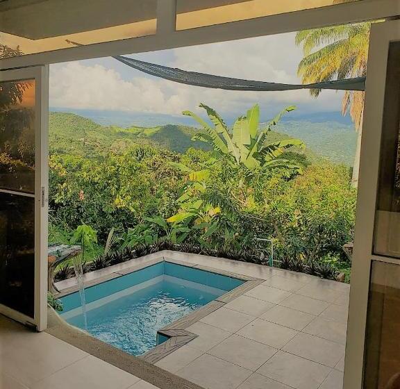 Семейный Номер Superior, Cabañas Los Tulipanes