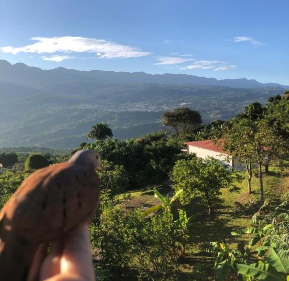 Семейный Номер, Cabañas Los Tulipanes